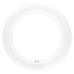 Ledvance LED Röhre T9 Value rund (EM/Mains) 11W 1200lm - 830 Warmweiß | Ersatz für 22W