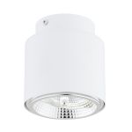 Emibig Deckenleuchte Nano Stahl Weiß | Geeignet für 1x GU10 (AR111) - Max 12W