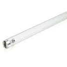 Philips T8 UV - C 36W - Ultraviolett | 120cm