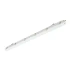 Philips LED Feuchtraumleuchte Ledinaire WT065C 30/53W 4100/6800lm - 840 Kaltweiß | 150cm