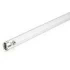 Philips T8 UV - C 36W - Ultraviolett | 120cm